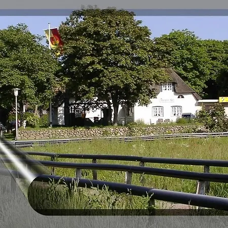 Teegelii Hof Rote Syltrose Teegelii Hof Sylt